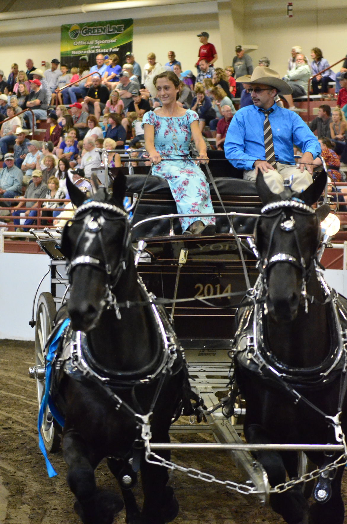 8-25-19 Draft Horse Hitch Final (64).JPG